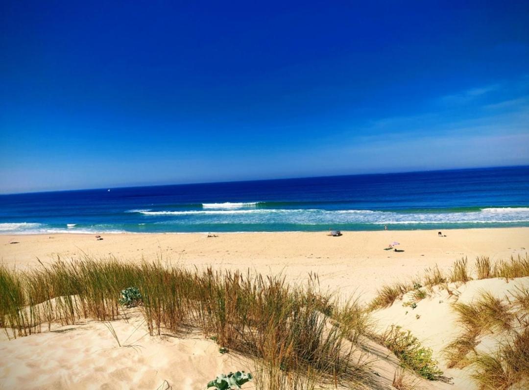 L'Ocean&Dunes Vue A 180° En Bord De Plage Lacanau Ngoại thất bức ảnh